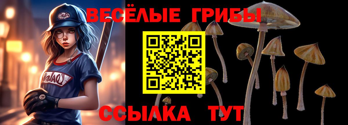 Псилоцибиновые грибы мухоморы Уссурийск